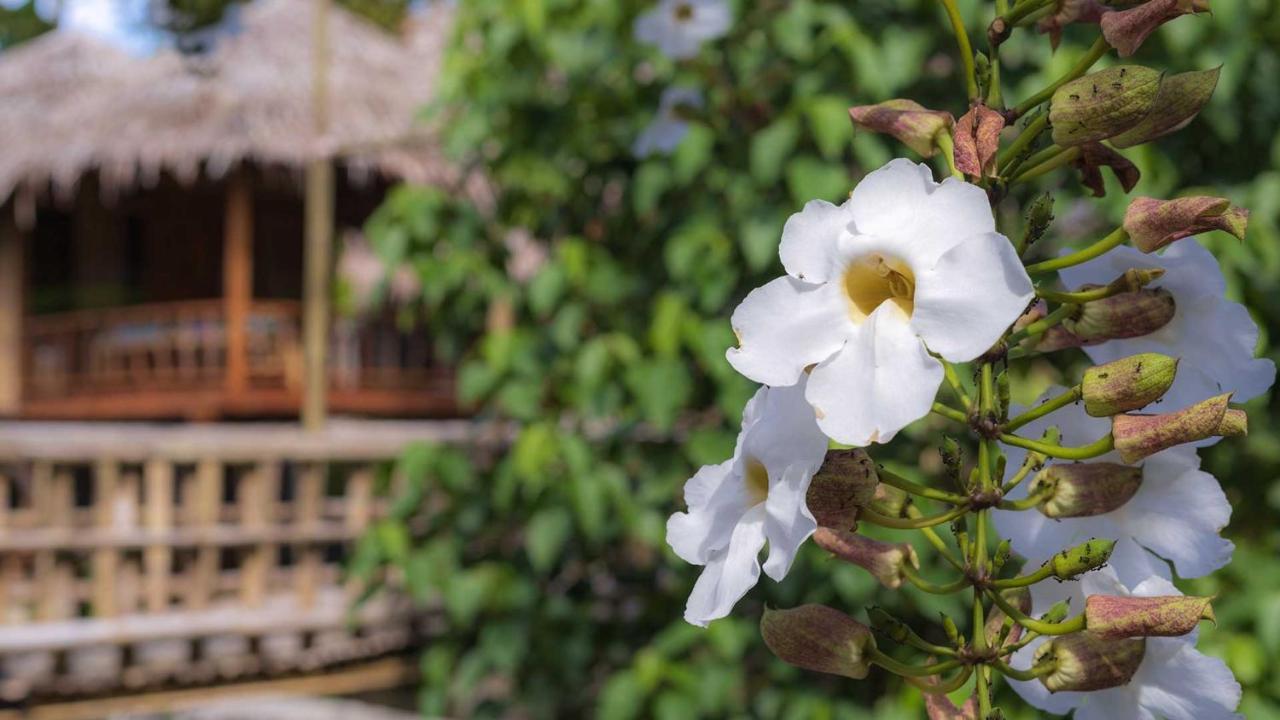 Onong'S Homestay & Cafe Tomohon Экстерьер фото